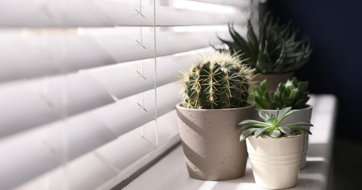 Jaki parapet wewnętrzny wybrać, aby był funkcjonalny i pasował do aranżacji pomieszczenia